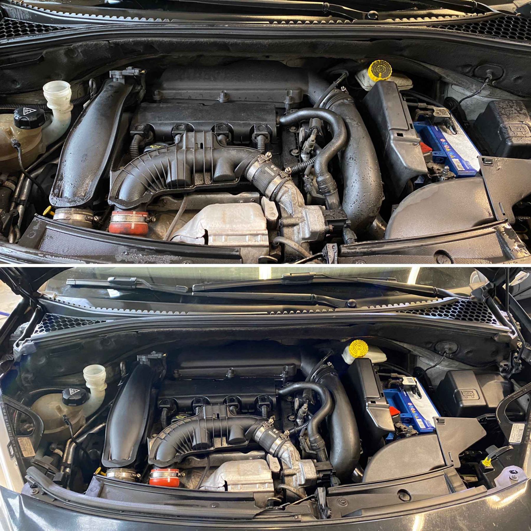 Motorraum Reinigung
