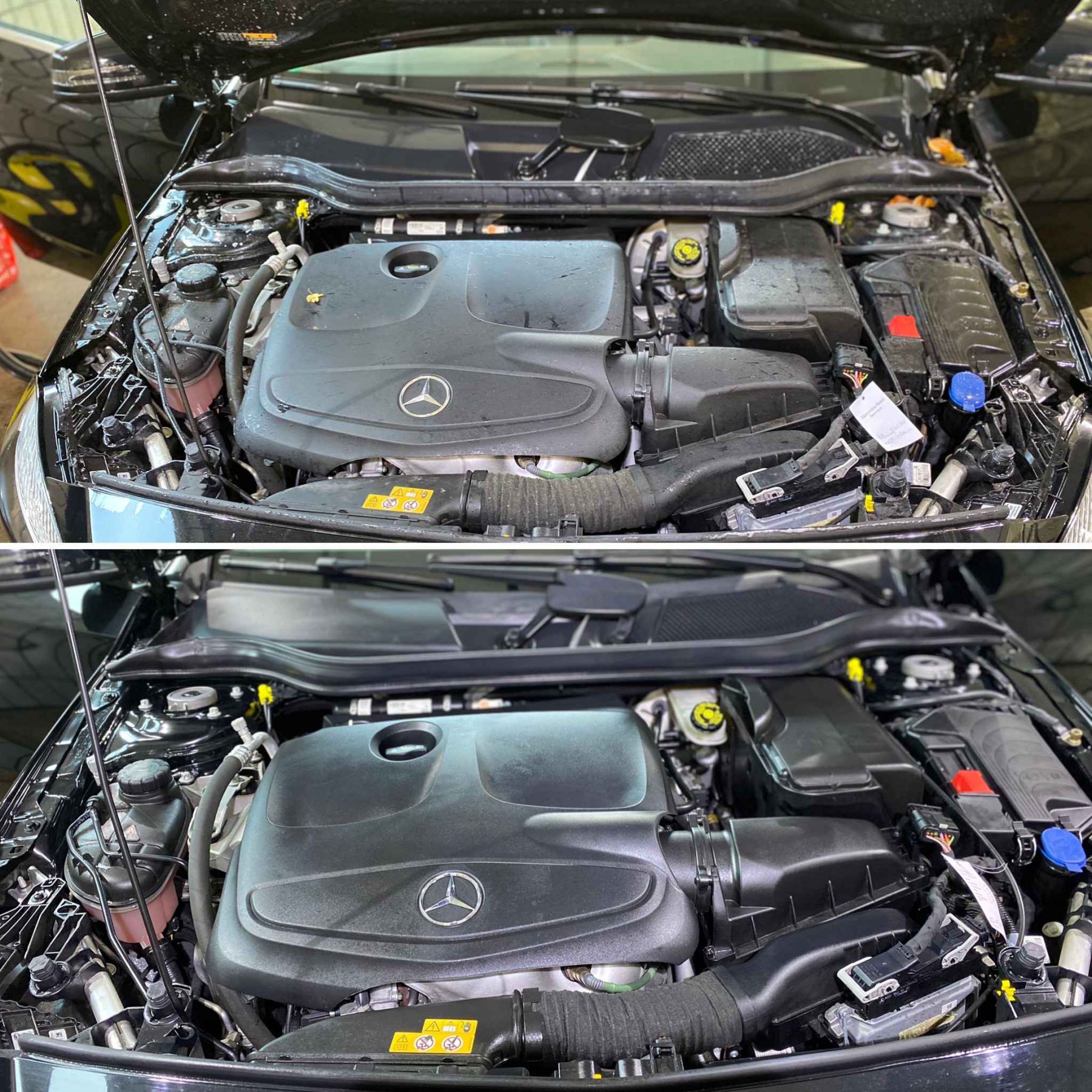 Motorraum Reinigung